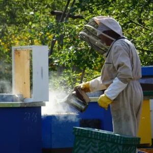Hive Tools and Smoker